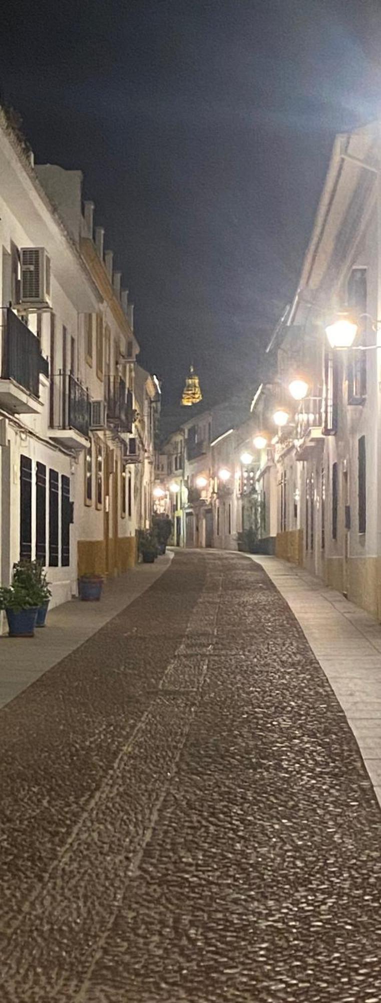 Apartamento Enmitatiko Alcazar Viejo Córdoba Exterior foto