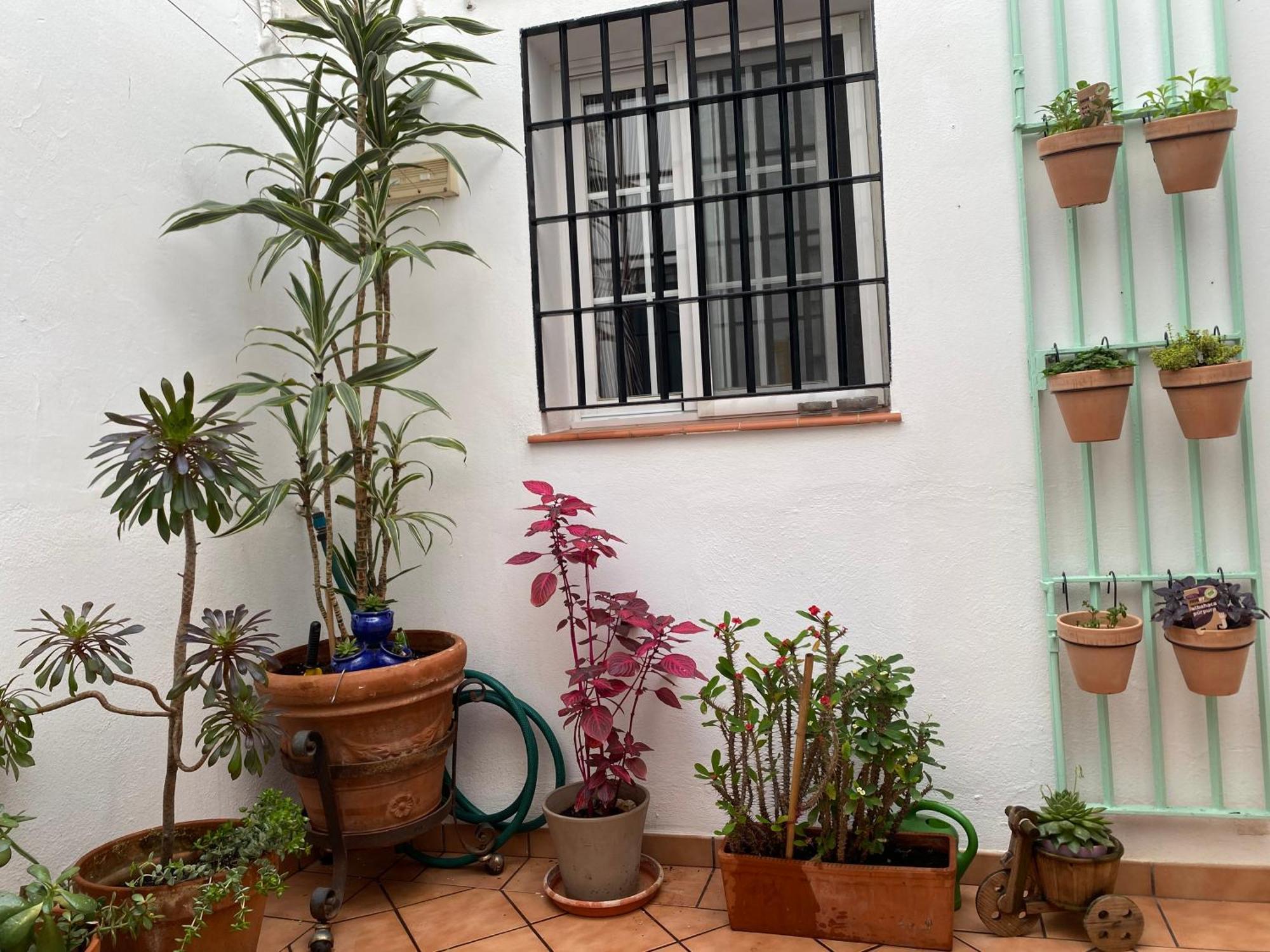 Apartamento Enmitatiko Alcazar Viejo Córdoba Exterior foto